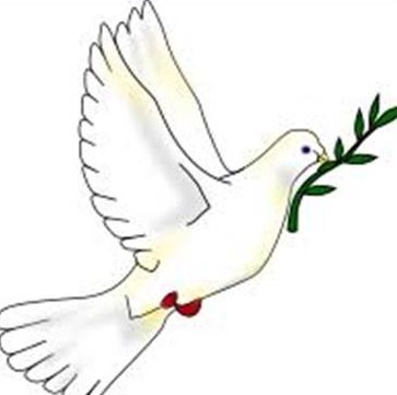 Logo Mutual San José